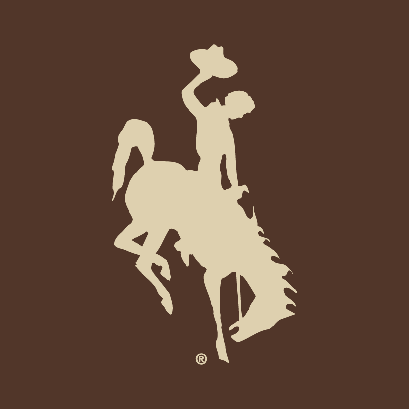 Wyoming Cowboys 2006-2012 Alternate Logo v2 iron on transfers for T-shirts